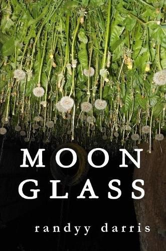 Cover image for Moon Glass