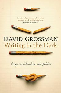 Cover image for Writing in the Dark