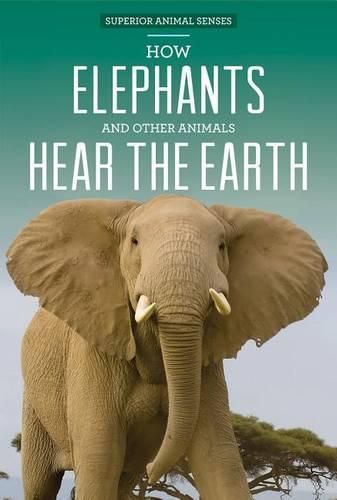 How Elephants and Other Animals Hear the Earth