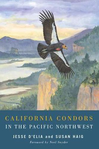 Cover image for California Condors in the Pacific Northwest