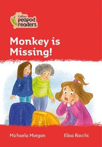 Cover image for Level 5 - Monkey is Missing!