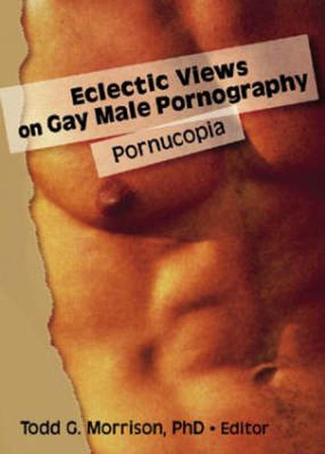 Cover image for Eclectic Views on Gay Male Pornography: Pornucopia