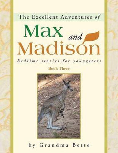 Cover image for The Excellent Adventures of Max and Madison: Bedtime Stories for Youngsters