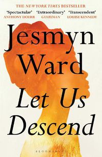 Cover image for Let Us Descend