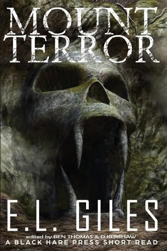 Cover image for Mount Terror