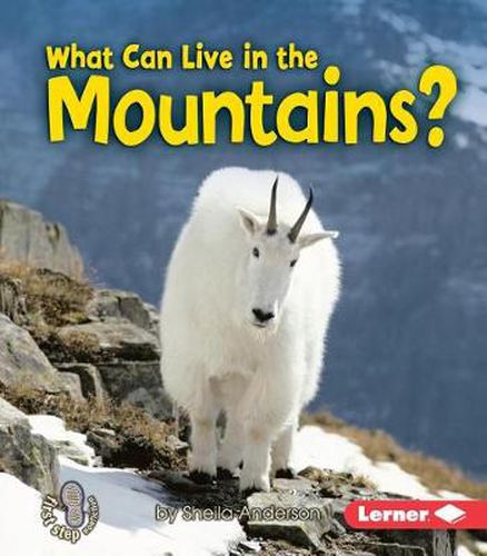 Cover image for What Can Live In A Mountain