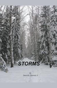 Cover image for Storms