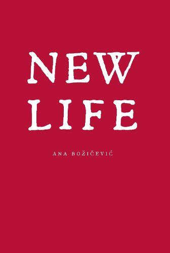 Cover image for New Life