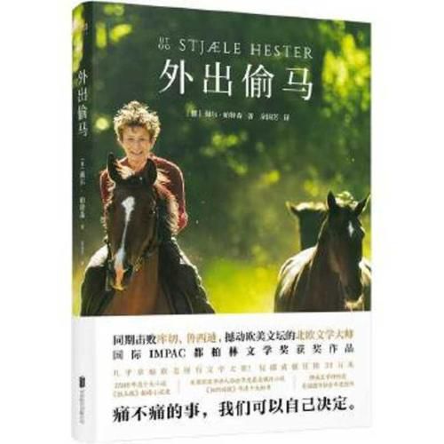 Cover image for Out Stealing Horses