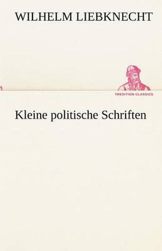 Cover image for Kleine Politische Schriften