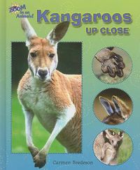 Cover image for Kangaroos Up Close