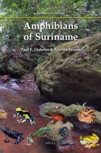 Cover image for Amphibians of Suriname