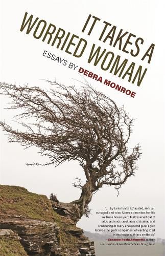 Cover image for It Takes a Worried Woman: Essays