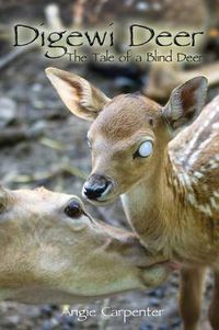 Cover image for Digewi Deer The Tale of a Blind Deer