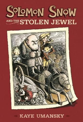 Cover image for Solomon Snow and the Stolen Jewel