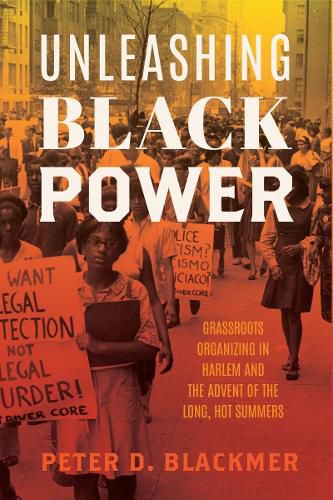 Cover image for Unleashing Black Power