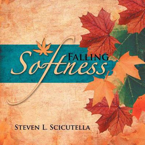 Cover image for Falling Softness