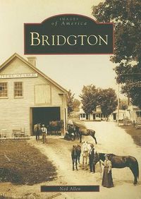 Cover image for Bridgton