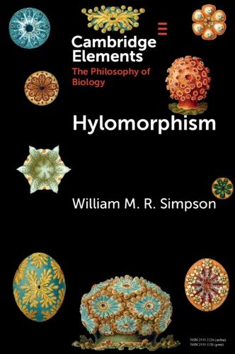 Cover image for Hylomorphism