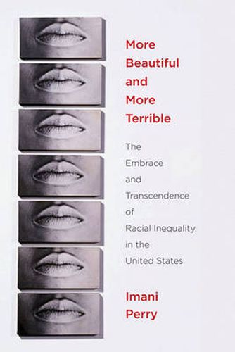 Cover image for More Beautiful and More Terrible: The Embrace and Transcendence of Racial Inequality in the United States