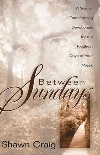 Cover image for Between Sundays