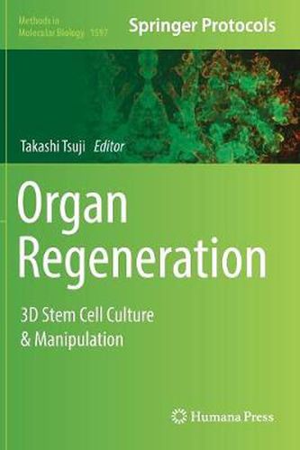 Cover image for Organ Regeneration: 3D Stem Cell Culture & Manipulation