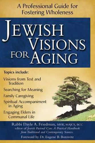 Jewish Visions for Aging: A Professional Guide to Fostering Wholeness