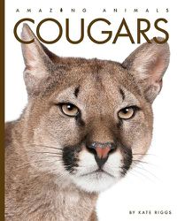 Cover image for Cougars