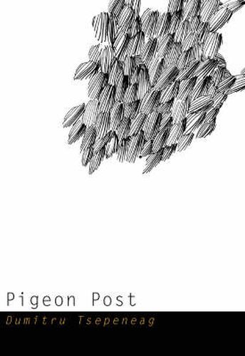 Cover image for Pigeon Post