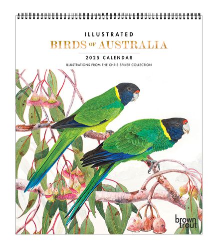 2025 Illustrated Birds of Australia Deluxe Wall Calendar