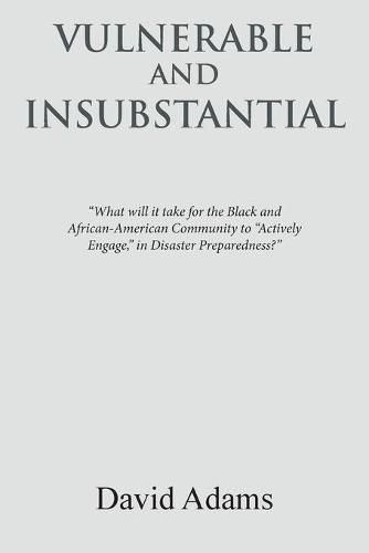 Cover image for Vulnerable and Insubstantial: What Will It Take?