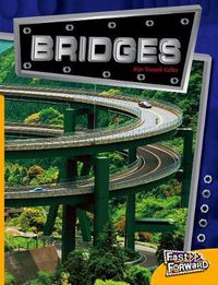 Cover image for Bridges