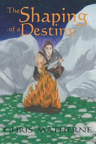 Cover image for The Shaping of a Destiny