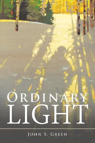 Cover image for Ordinary Light