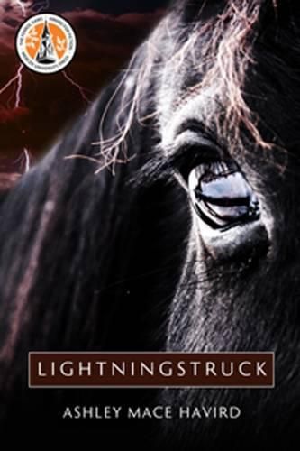 Cover image for Lightningstruck: A Novel