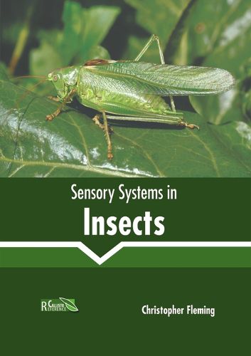 Cover image for Sensory Systems in Insects