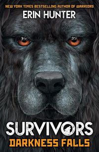 Cover image for Survivors Book 3: Darkness Falls
