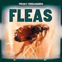 Cover image for Fleas