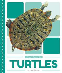 Cover image for Turtles