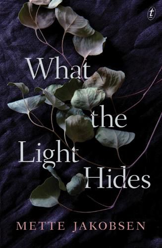 Cover image for What The Light Hides