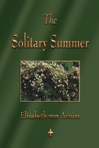 Cover image for The Solitary Summer