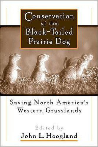 Cover image for Conservation of the Black-Tailed Prairie Dog: Saving North America's Western Grasslands