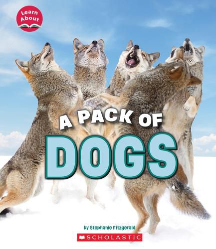 Cover image for A Pack of Dogs (Learn About: Animals)