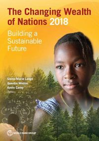 Cover image for The changing wealth of nations 2018: building a sustainable future