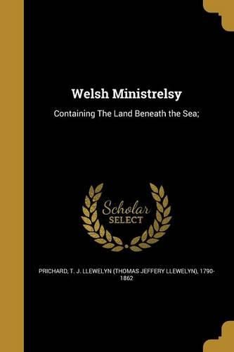 Cover image for Welsh Ministrelsy