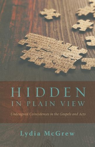 Cover image for Hidden in Plain View