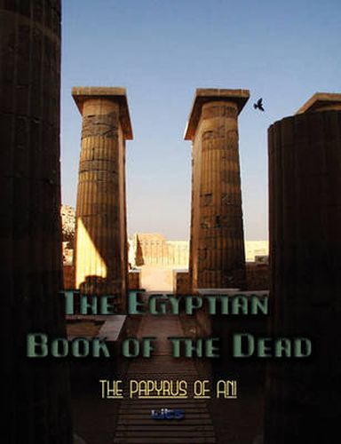 Cover image for The Egyptian Book of the Dead