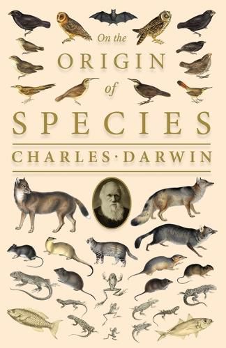 Cover image for On the Origin of Species; Or; The Preservation of the Favoured Races in the Struggle for Life