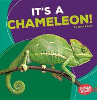 Cover image for Its a Chameleon