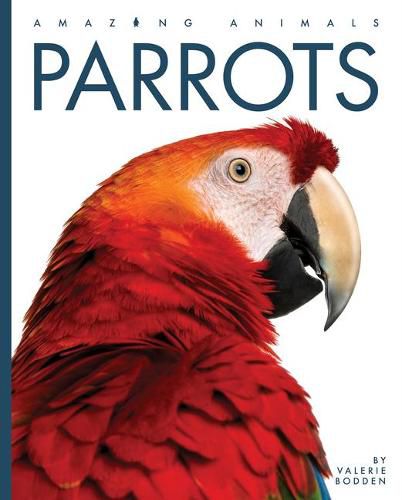 Cover image for Parrots